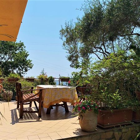 B&B dei Fiori Praia a Mare Esterno foto