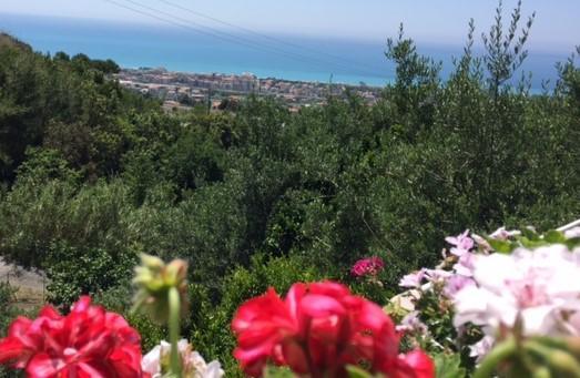 B&B dei Fiori Praia a Mare Esterno foto